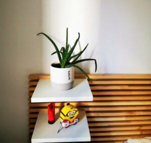 Plante d'intérieur posée sur une étagère