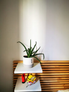 Plante d'intérieur posée sur une étagère