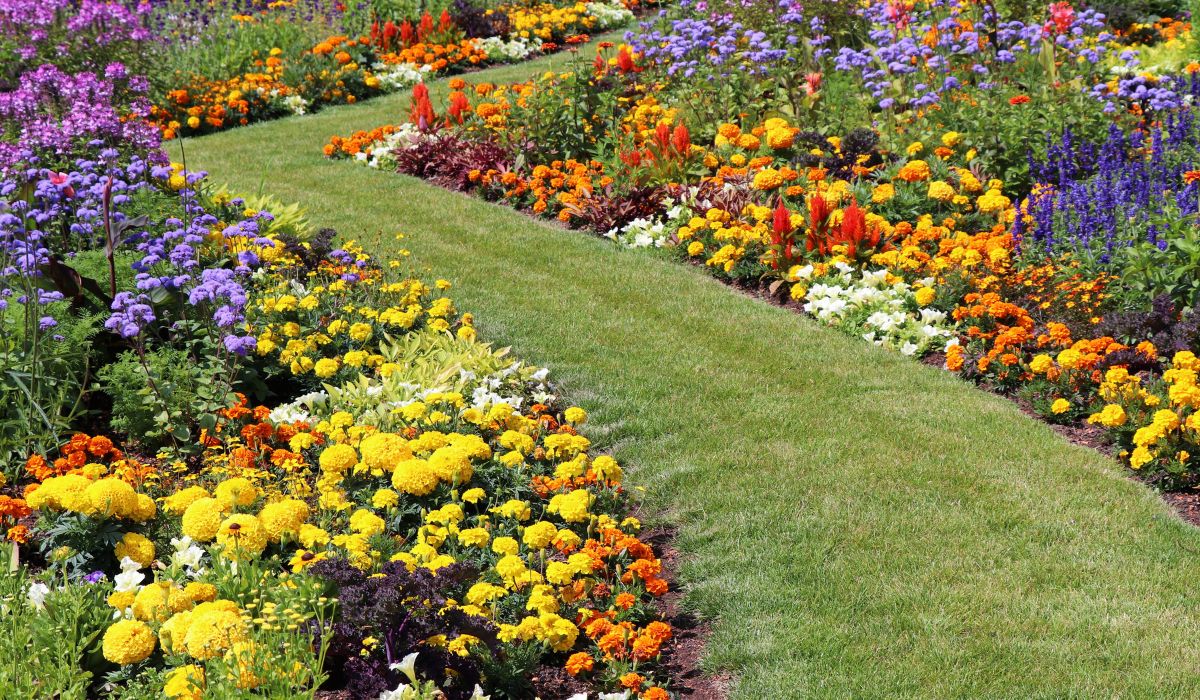 Choisissez avec parcimonie les fleurs de votre jardin !