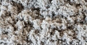 Ouate de cellulose