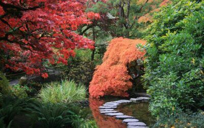 Comment aménager une allée de jardin pratique et décorative