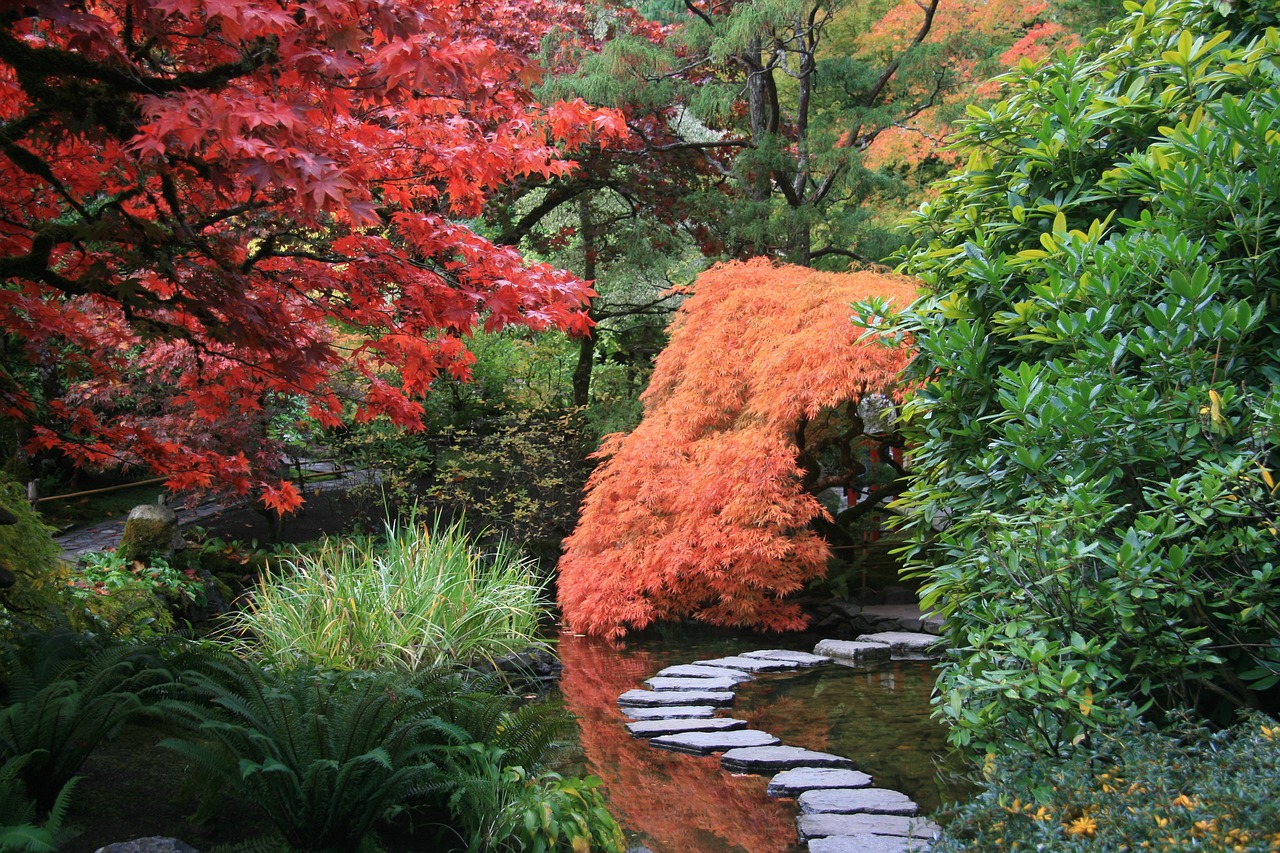 Une allée de jardin