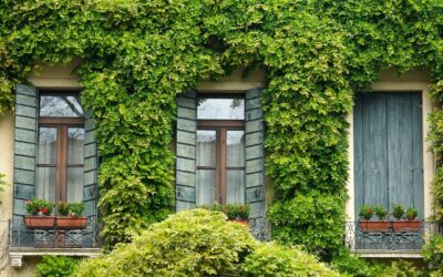 Comment construire un jardin potager sur votre balcon