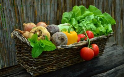 Comment cultiver des légumes dans un potager, de la préparation du sol à la récolte