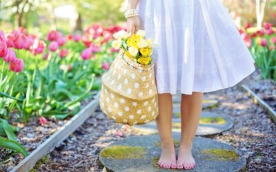 Comment entretenir et embellir votre jardin à chaque saison de l’année