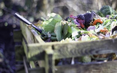 Comment faire un incinérateur de déchets de jardin