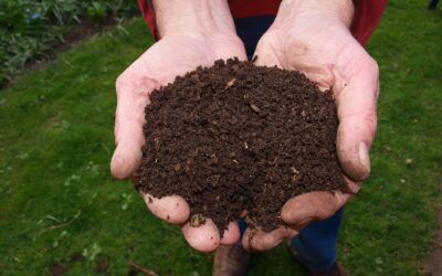 Les bases de la création et l’utilisation de votre propre compost