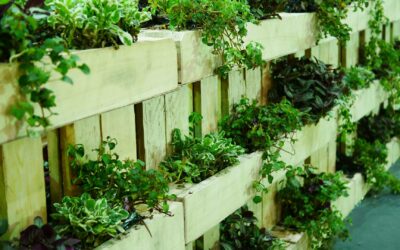 Comment créer un potager vertical pour les petits espaces extérieurs