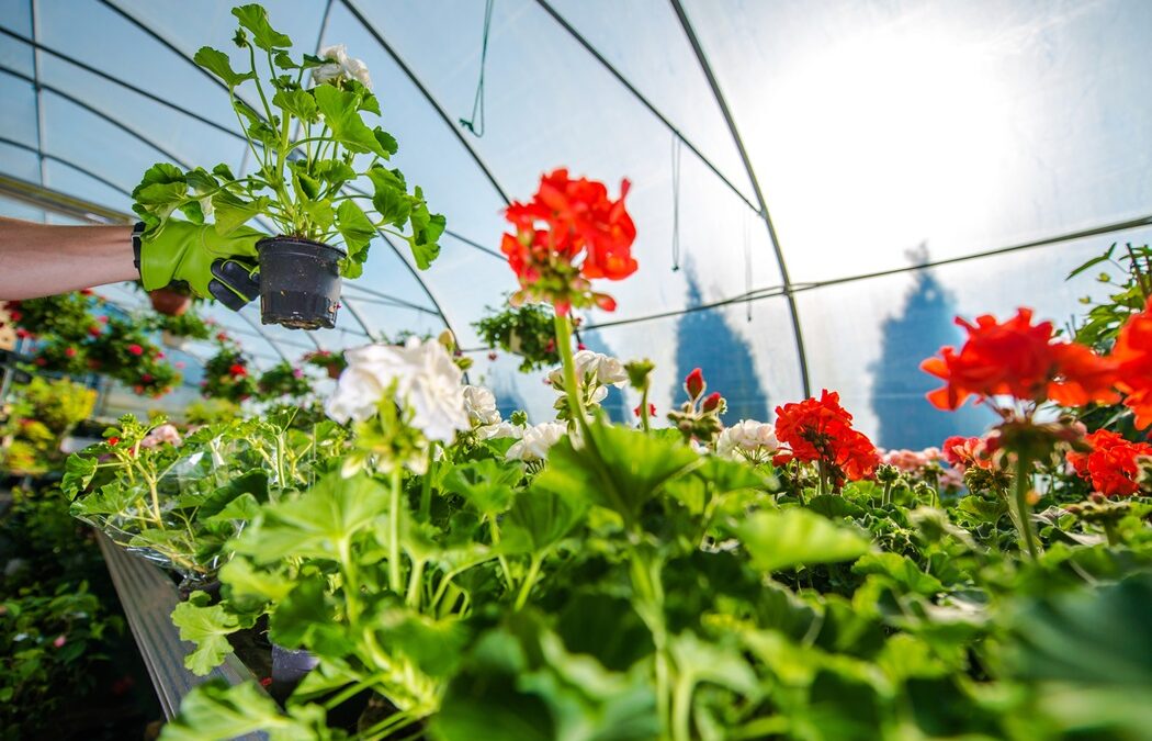 Comment cultiver des légumes toute l’année en respectant chaque saison
