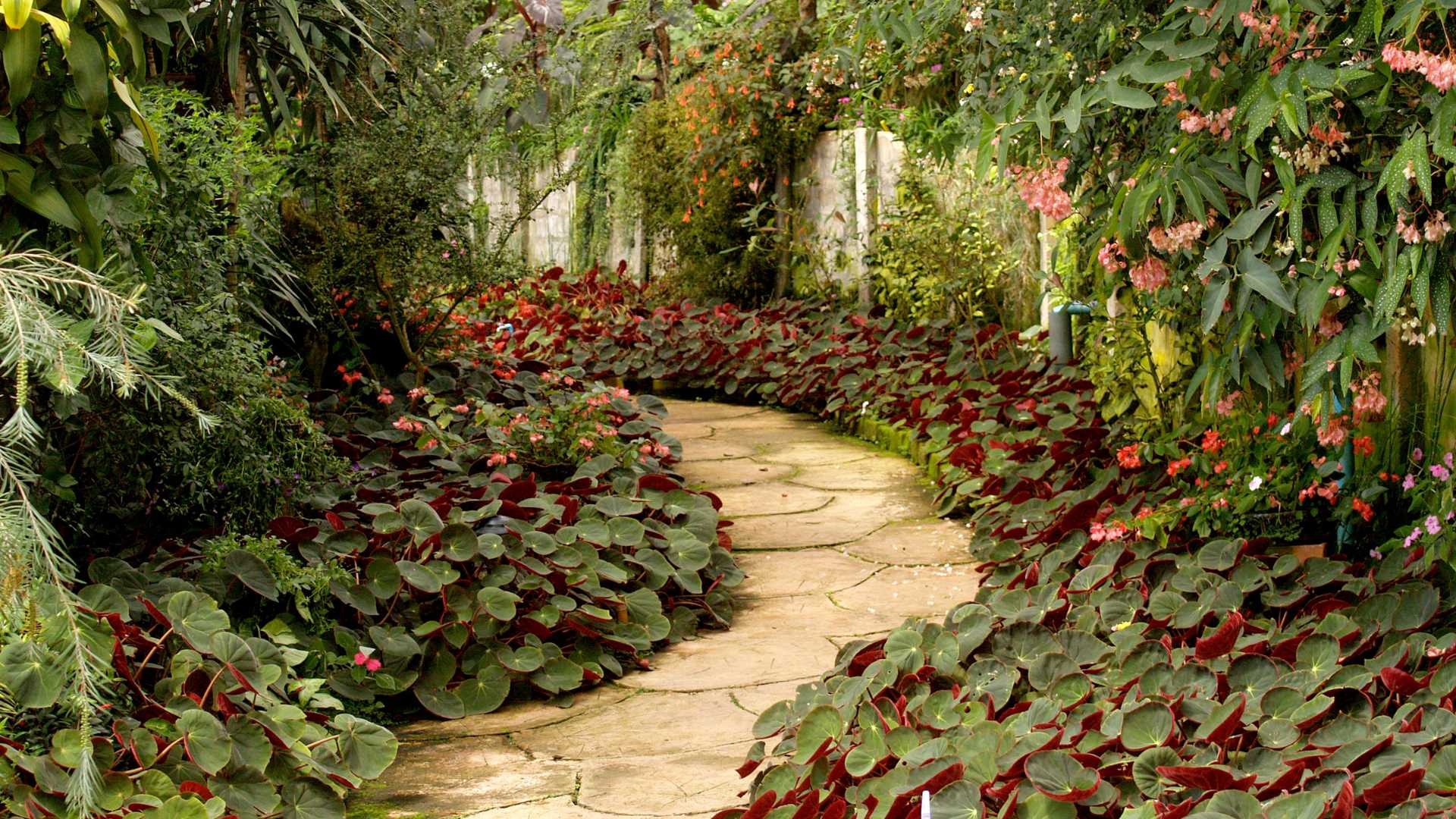 aménagement jardin