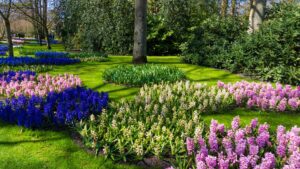 jardin coloré