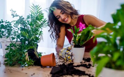 Pourquoi choisir des plantes locales et adaptées à votre climat ?