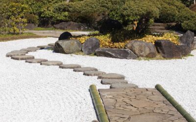 Comment créer un jardin sec et économe en eau ?