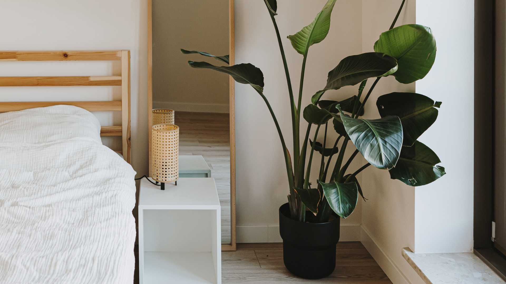 chambre scandinave