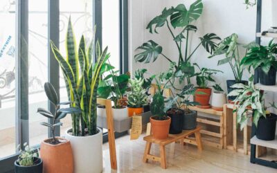 Pourquoi la qualité de l’air intérieur est-elle importante ?