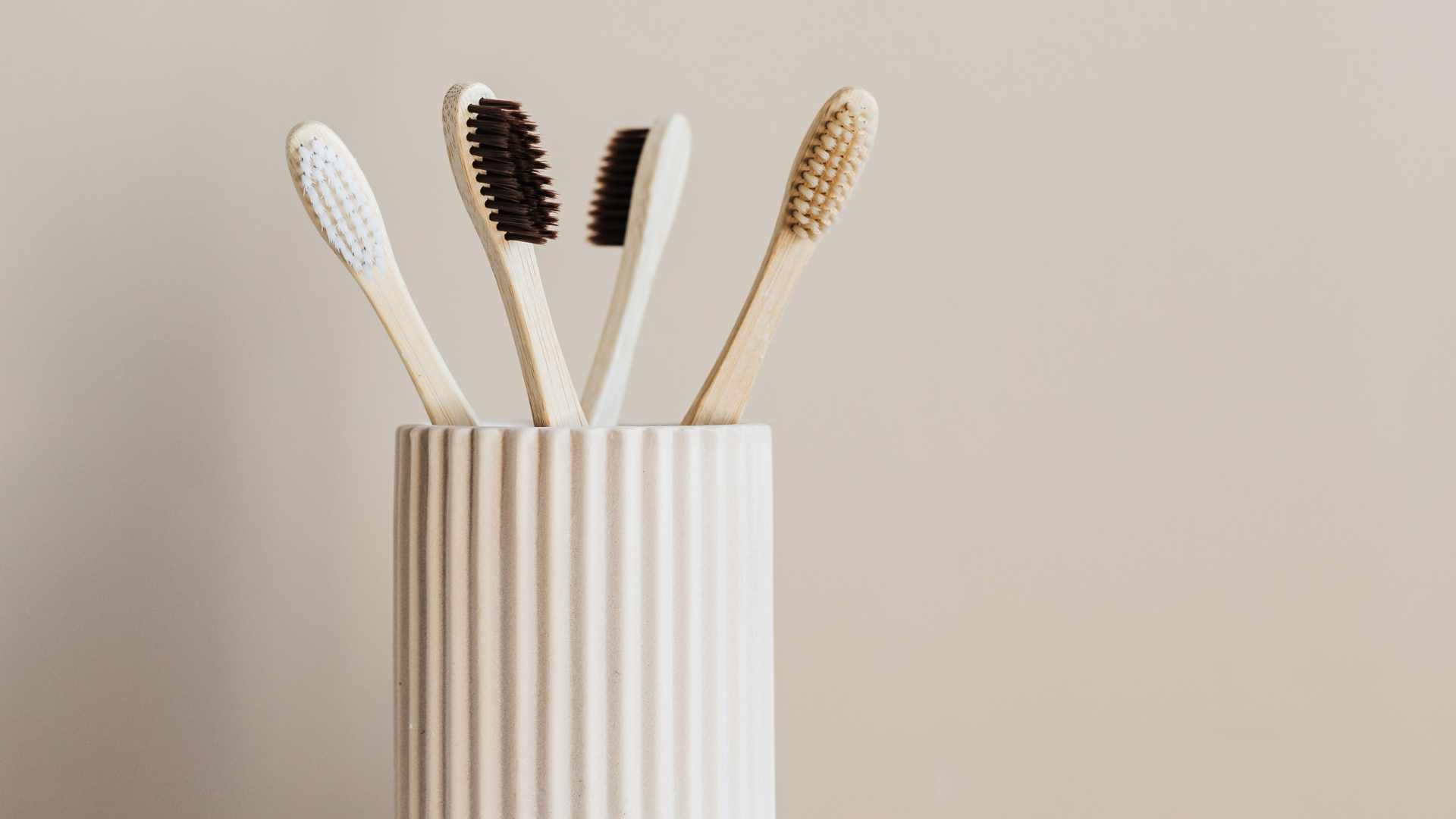 déco naturel