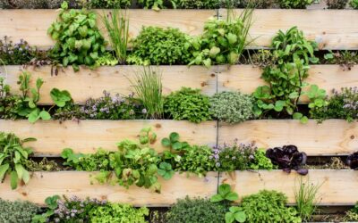 Créer un jardin vertical avec des palettes recyclées